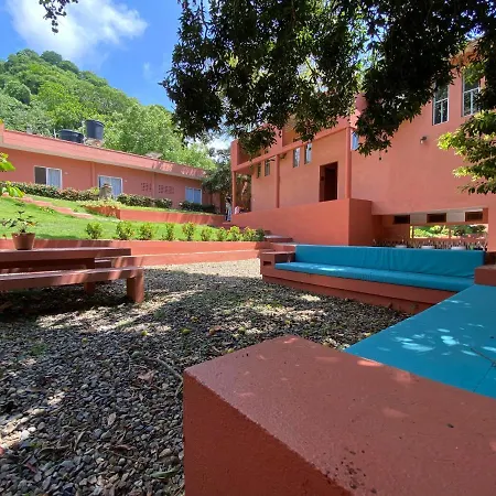 Color Hostel Palomino-3
